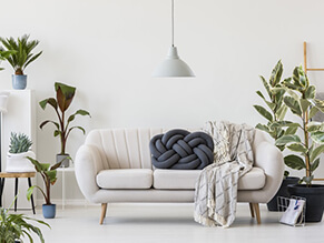 Lush_living_area_plants_timber_stool_ladder_white_couch_white_walls_plush_throw_pillow 